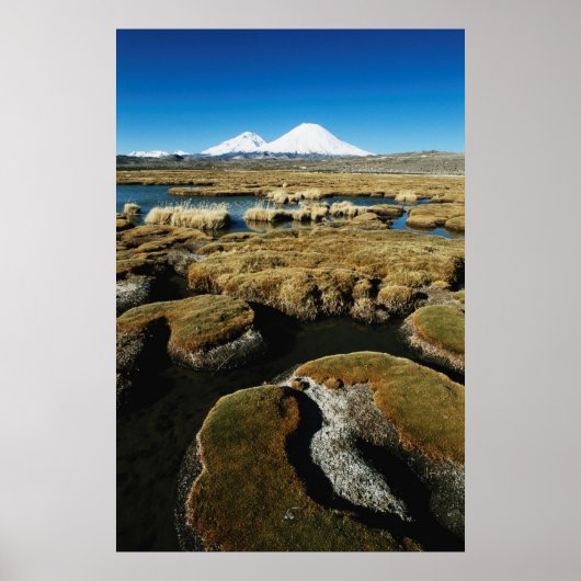 Payachalas Volcanos Poster (Vorne)