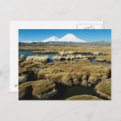 Payachalas Volcanos Postkarte (Vorne/Hinten)