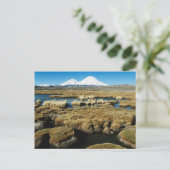 Payachalas Volcanos Postkarte (Stehend Vorderseite)
