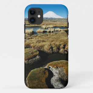 Payachalas Vulkane Case-Mate iPhone Hülle