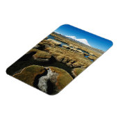 Payachalas Vulkane Magnet (Linke Seite)