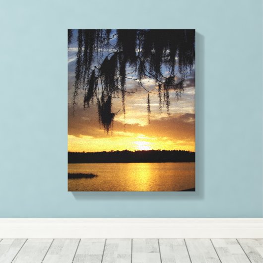 Paynes Prairie Florida Sunset Leinwanddruck (Insitu (Holzboden))