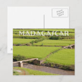 Paysage de rizières à Madagascar Postkarte (Vorne/Hinten)