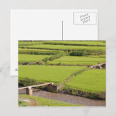 Paysage de rizières à Madagascar Postkarte (Vorne/Hinten)