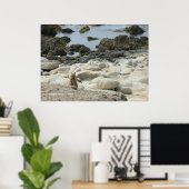 Pazifik-Grosshörnchen Poster (Heimbüro)