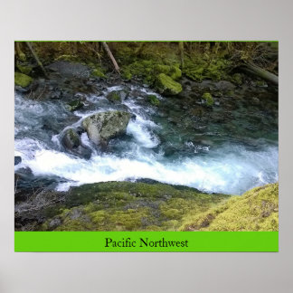 Pazifik Nordwest-Rushwasser Poster