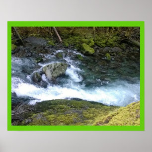 Pazifik Nordwest-Rushwasser Poster