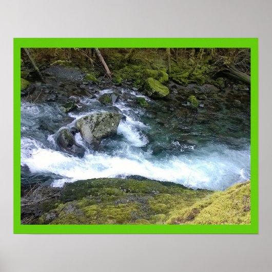 Pazifik Nordwest-Rushwasser Poster (Vorne)