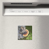 Pazifik Nordwestpolypore Fall Mushroom Magnet (In Situ (Geschirrspüler))