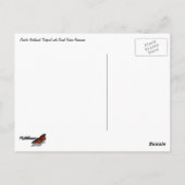 Pazifik Nordwesttidepool mit grünen Anenomen Postkarte (Rückseite)