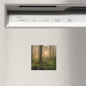 Pazifik Nordwestwald | Foggy Morning Magnet (In Situ (Geschirrspüler))