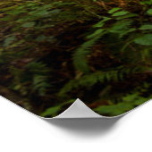 Pazifik Nordwestwald | Foggy Morning Poster (Ecke)