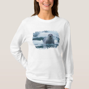 Pazifik-Seehund, Phoca vitulina richardsi T-Shirt