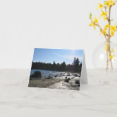 Pazifik stützt Natur-Erholungsort unter Karte (Gelbe Blume)