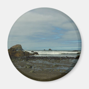 Pazifikküste - Redwood National Park Magnet