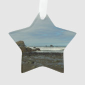 Pazifikküste - Redwood National Park Ornament (Rückseite)