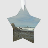 Pazifikküste - Redwood National Park Ornament (Vorderseite)