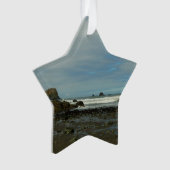 Pazifikküste - Redwood National Park Ornament (Vorderseite)