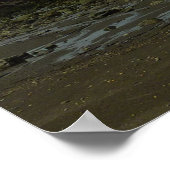 Pazifikküste - Redwood National Park Poster (Ecke)