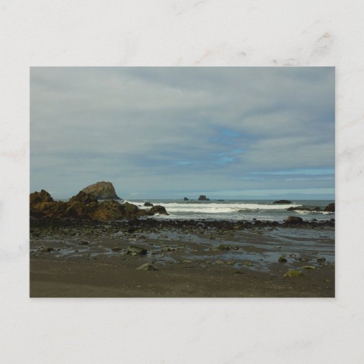 Pazifikküste - Redwood National Park Postkarte (Vorderseite)