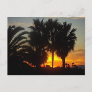 Pazifikküste Sonnenuntergang Postkarte