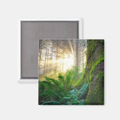 Pazifikküstenwald, Oregon Magnet (Vorderseite/Rückseite)