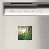 Pazifikküstenwald, Oregon Magnet (In Situ (Geschirrspüler))