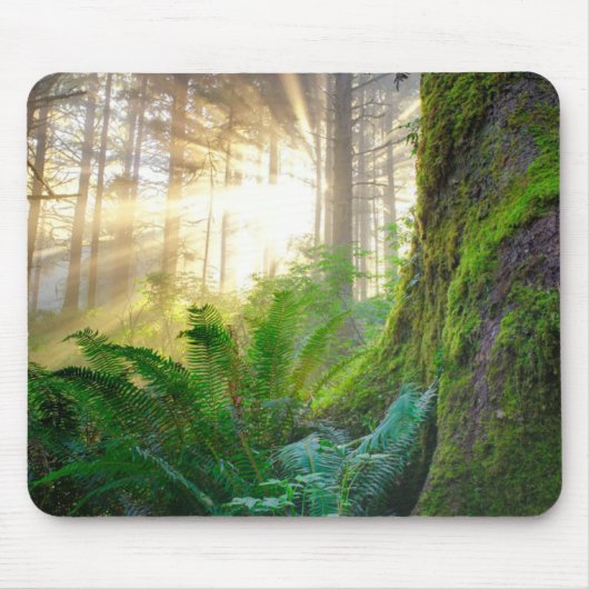 Pazifikküstenwald, Oregon Mousepad (Vorne)