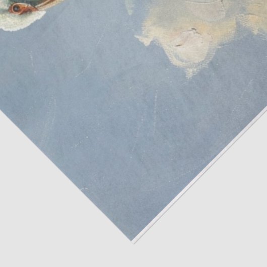 Pazifikpelikan Seidenpapier (Ausschnitt)