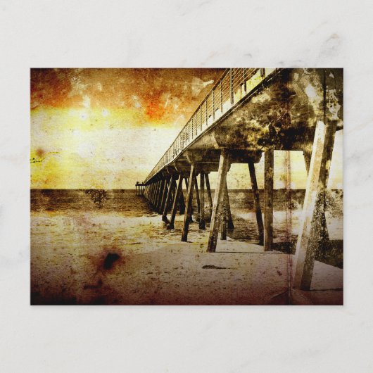 Pazifikpfeifer Postkarte (Vorderseite)