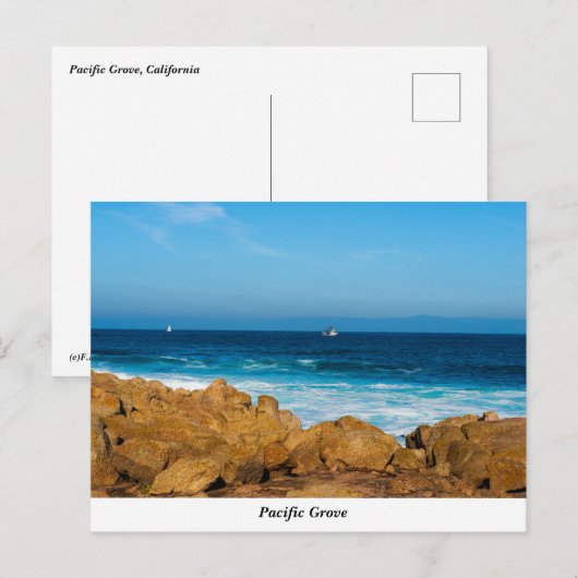 Pazifische Grove Postkarte (Vorne/Hinten)