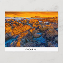 Pazifische Grove Postkarte