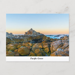 Pazifische Grove Postkarte