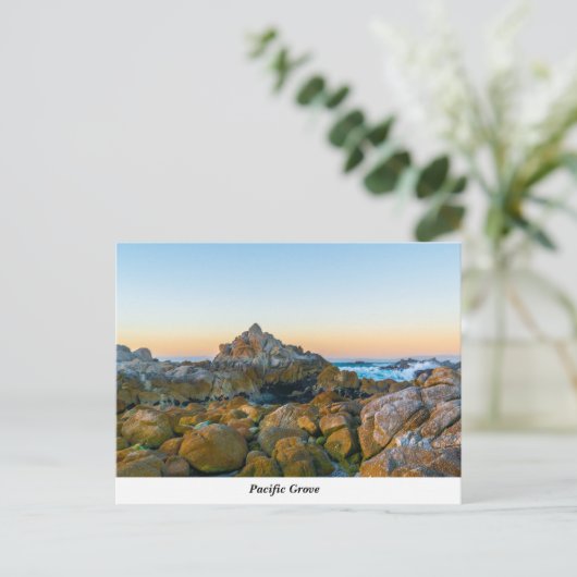 Pazifische Grove Postkarte (Stehend Vorderseite)