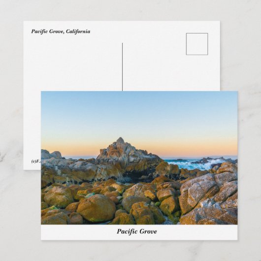 Pazifische Grove Postkarte (Vorne/Hinten)