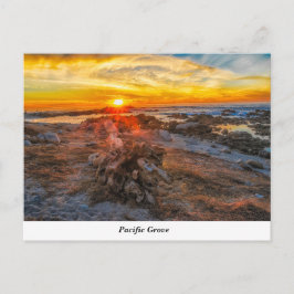 Pazifische Grove Postkarte