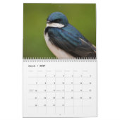 Pazifische Nordwestvögel Kalender (Mär 2027)