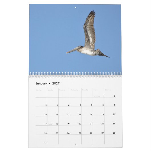 Pazifische Nordwestvögel Kalender (Jan 2027)