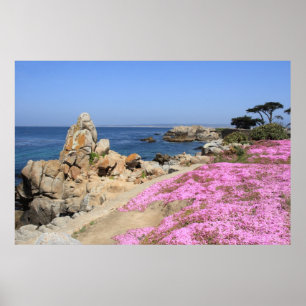Pazifische Waldung Poster