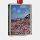 Pazifische Waldungs-lila Teppich Silbernes Ornament (Rechts)