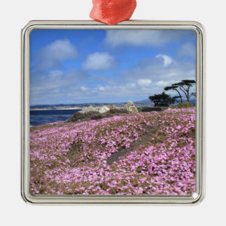 Pazifische Waldungs-lila Teppich Silbernes Ornament