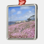 Pazifische Waldungs-lila Teppich Silbernes Ornament (Links)