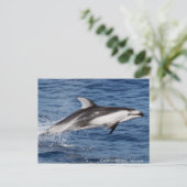 Pazifische weiße mit Seiten versehene Postkarte (Stehend Vorderseite)