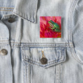Pazifischer Baumfrosch auf Blume in unserem Garten Button (Beispiel)