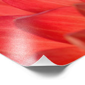 Pazifischer Baumfrosch auf Blume in unserem Garten Fotodruck (Ecke)