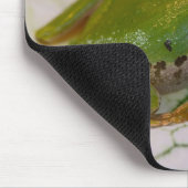 Pazifischer Baumfrosch auf Blume in unserem Garten Mousepad (Ecke)