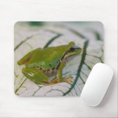 Pazifischer Baumfrosch auf Blume in unserem Garten Mousepad (Mit Mouse)