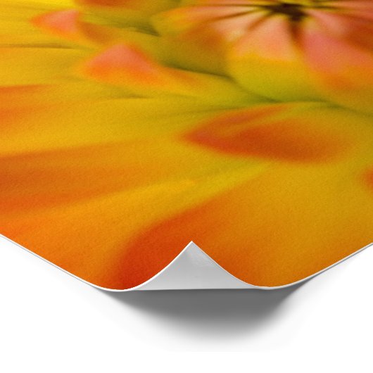 Pazifischer Baumfrosch auf Blume in unserem Garten Poster (Ecke)