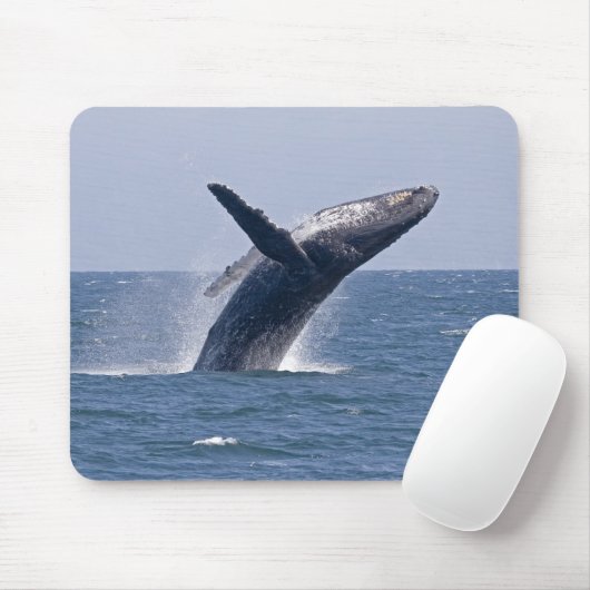 Pazifischer Buckel-Wal… Mousepad (Mit Mouse)