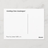 Pazifischer Fohlen Postkarte (Rückseite)